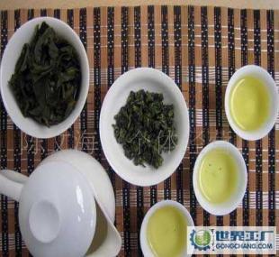 供應茶葉1/鐵觀音秋茶 2011年新茶新上市 新貨_食品、飲料_世界工廠網(wǎng)中國產品信息庫