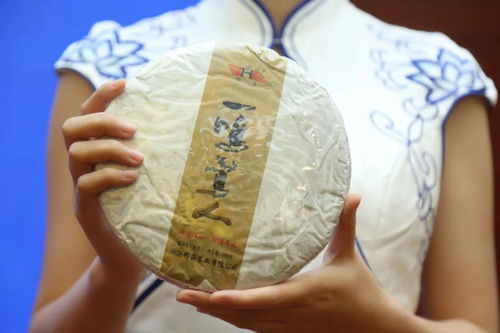 2020 茶匯冀都 茗香滿溢 石家莊專場(chǎng)品鑒會(huì)圓滿舉行