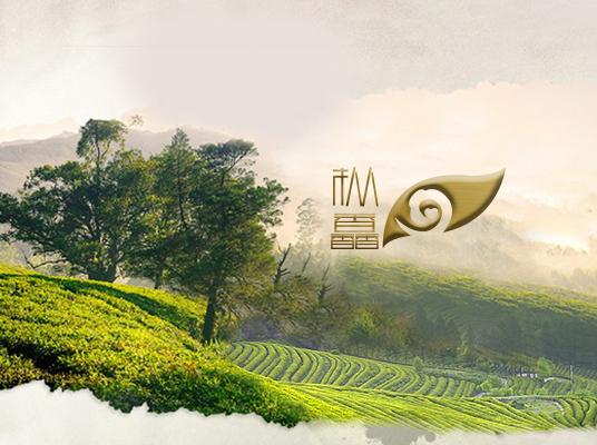 網(wǎng)站建設(shè)案例-深圳樅馫茶業(yè)