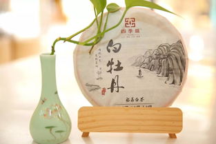 和峰園茶業 讓更多人喝福建好茶