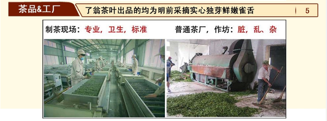 2014新茶了翁蒲江雀舌40g*5盒禮品裝 品味葉青類茶葉的清新雅韻