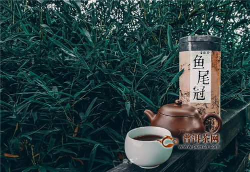 翠竹隨風樂，尾魚逐水流——巔茶茶業(yè)的文化與自然之美
